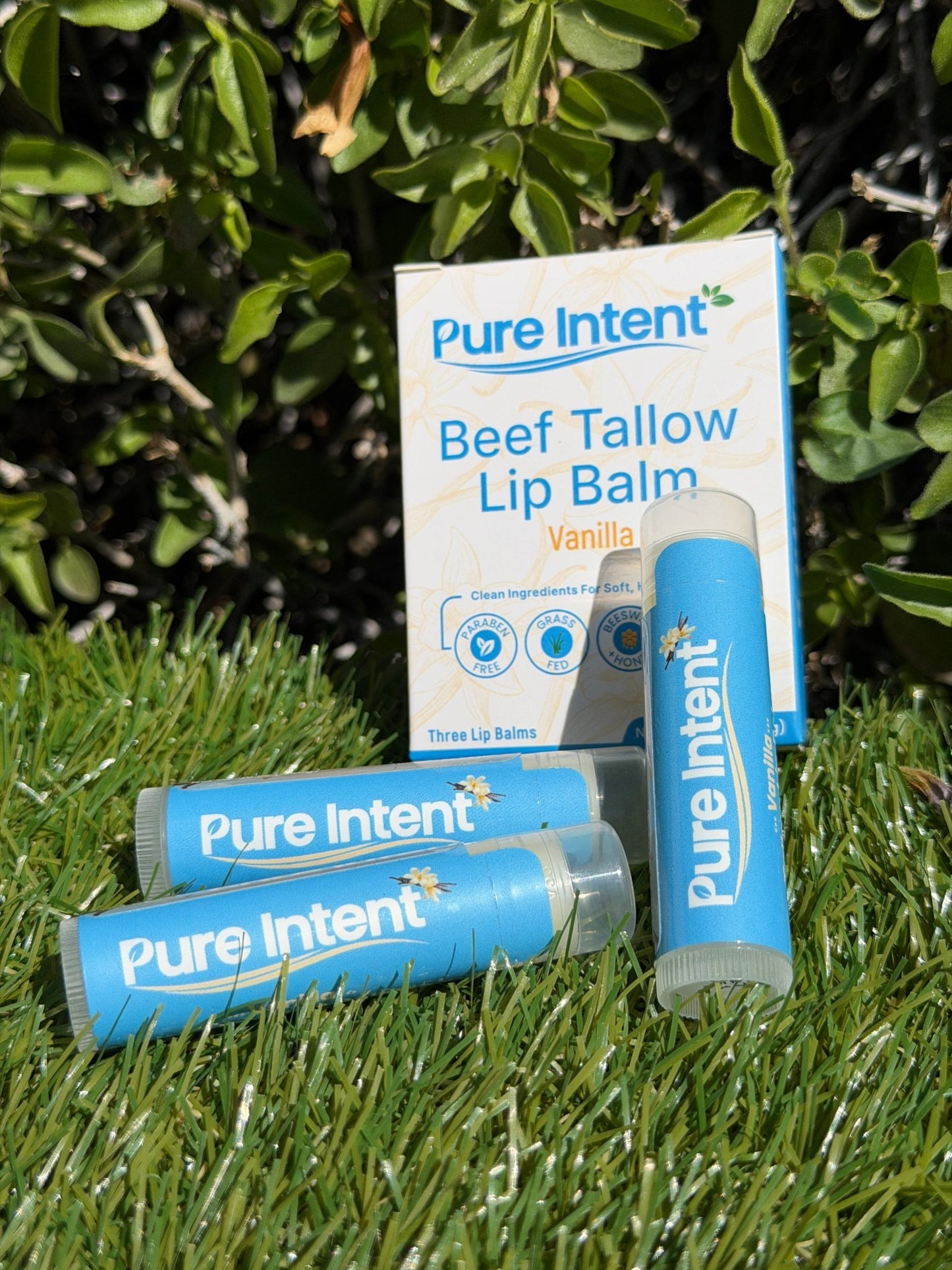 Pure Intent beef tallow lip balm packaging and lip balms on grass with green leaves in the background