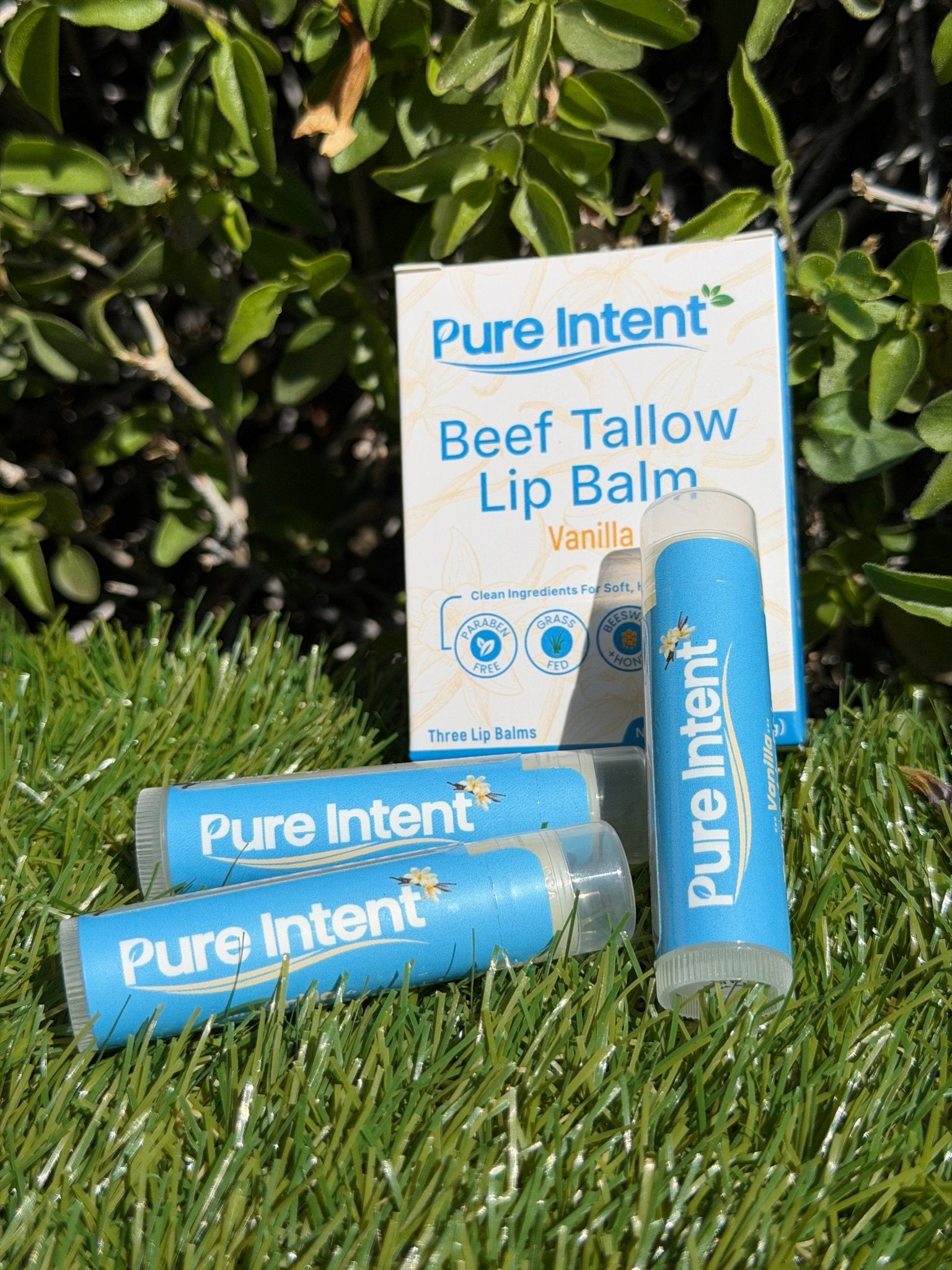 Pure Intent beef tallow lip balm packaging and lip balms on grass with green leaves in the background